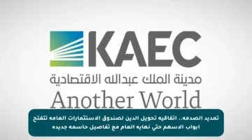 تمديد الصدمة.. اتفاقية تحويل الدين لصندوق الاستثمارات العامة تتفتح أبواب الأسهم حتى نهاية العام مع تفاصيل حاسمة جديدة
